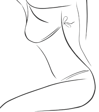 Annotated Image